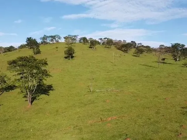 Imagem 13: Fazenda com Área de 32,5 Hectares Todo Formado com Lagoa e Ótima Cede em Itaúna/ Mg