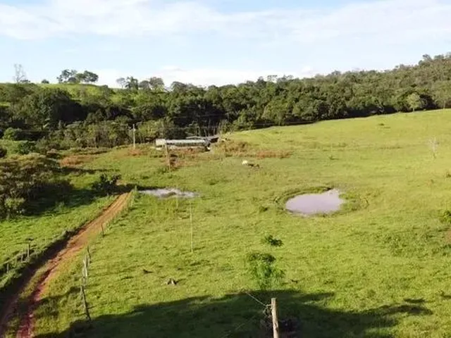 Imagem 4: Fazenda com Área de 32,5 Hectares Todo Formado com Lagoa e Ótima Cede em Itaúna/ Mg