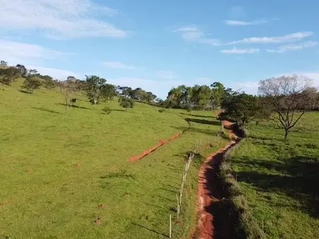 Imagem 12: Fazenda com Área de 32,5 Hectares Todo Formado com Lagoa e Ótima Cede em Itaúna/ Mg
