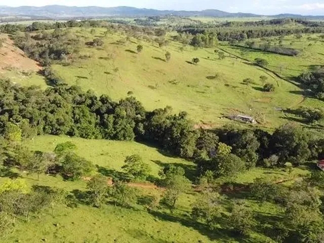 Imagem 14: Fazenda com Área de 32,5 Hectares Todo Formado com Lagoa e Ótima Cede em Itaúna/ Mg