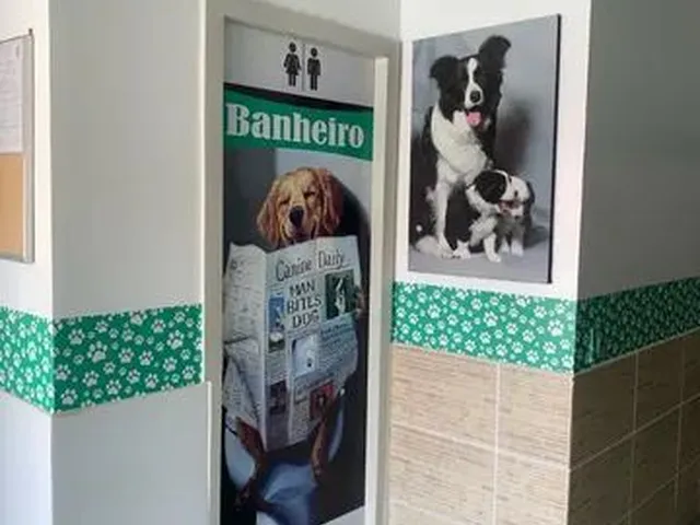 Imagem 5: Oportunidade Clínica Veterinária