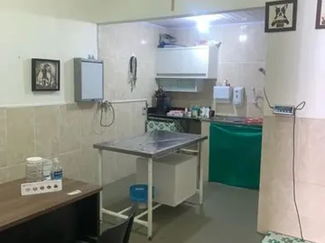 Imagem 2: Oportunidade Clínica Veterinária