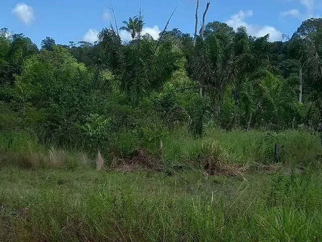 Imagem: Vende-Se Terreno no Interior