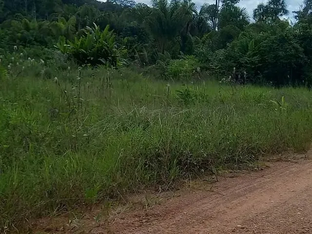 Imagem 2: Vende-Se Terreno no Interior..