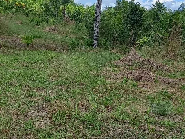 Imagem 4: Vende-Se Terreno no Interior..