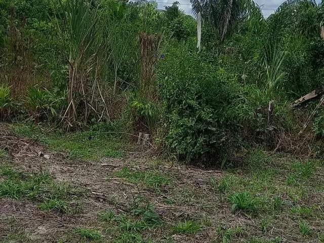Imagem 5: Vende-Se Terreno no Interior..