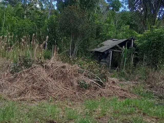 Imagem 7: Vende-Se Terreno no Interior..
