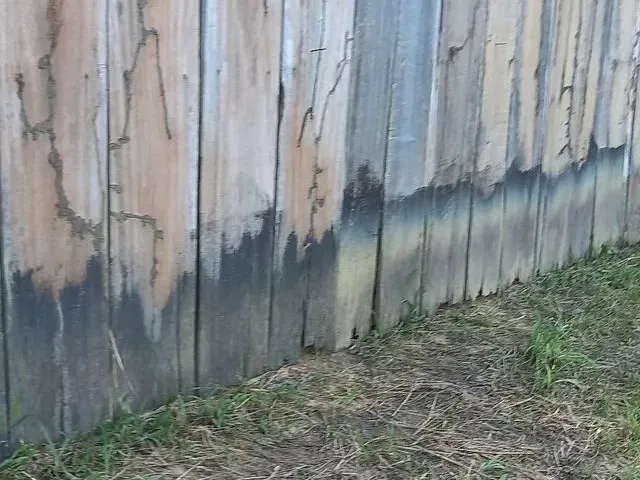 Imagem 10: Vende-Se Terreno no Interior..