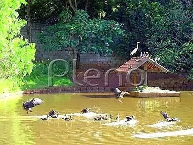 Imagem 9: Casa - Barão Geraldo - Campinas