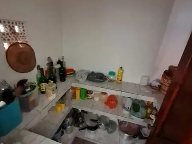 Imagem 2: Chácara no Mosqueiro