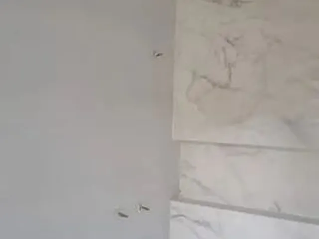 Imagem 4: Vendo Excelente Triplex, no Bairro Uberaba, Curitiba -Pr, Imóvel Novo Lançamento