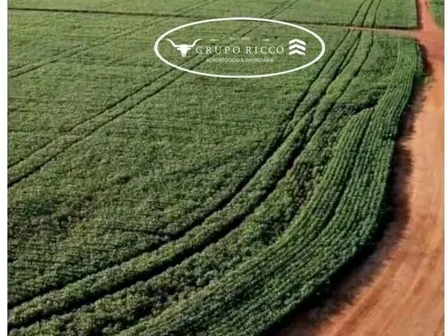 Imagem 1: Fazenda em Primavera do Leste-Mt ! 3400 Hectares !