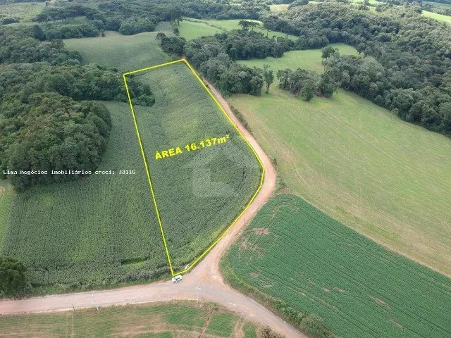 Imagem: Área para Venda, Campo Largo / Pr, Bairro