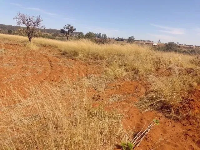 Imagem: Chácara a Venda