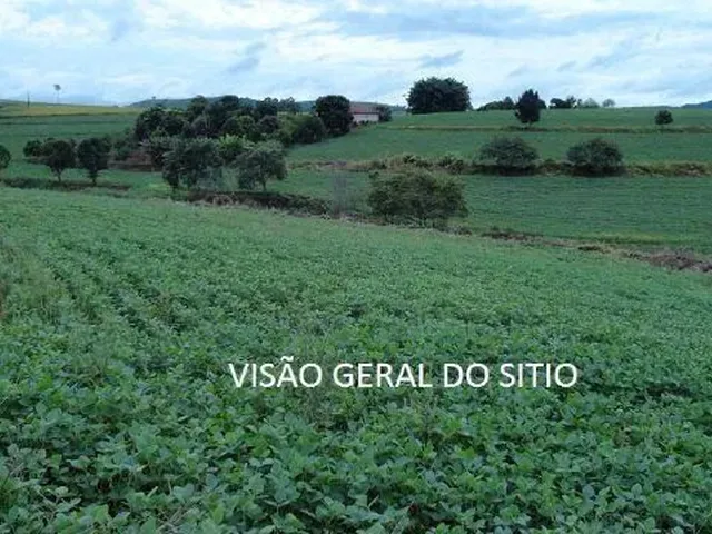 Imagem: Vende-Se Ou Troca Sítio em Ribeirão do
