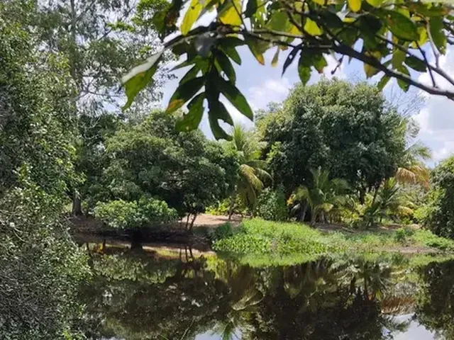 Imagem 9: Terreno À Venda - 800,00 + Parcelas de a Partir de 160,00, Acesso Ao Rio - 1.000M2