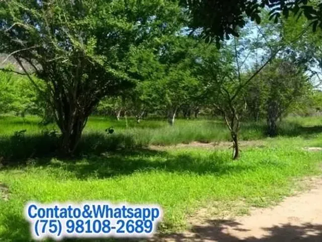 Imagem 4: Terreno À Venda - 800,00 + Parcelas de a Partir de 160,00, Acesso Ao Rio - 1.000M2