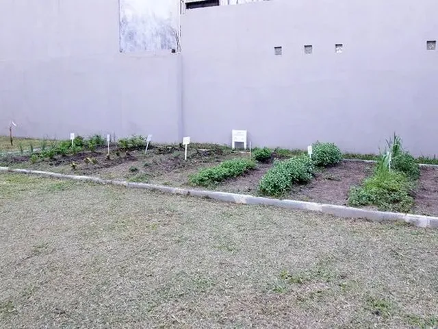 Imagem 9: Apartamento 2 Quartos para Aluguel Pelotas