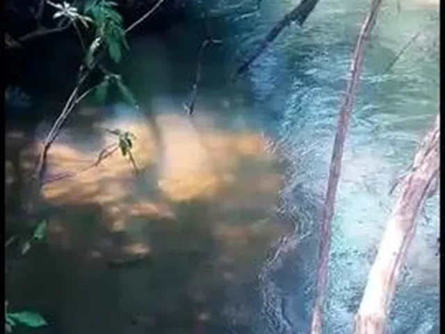 Imagem 1: Chácara 3 .72 Alqueires Trindade Goiás