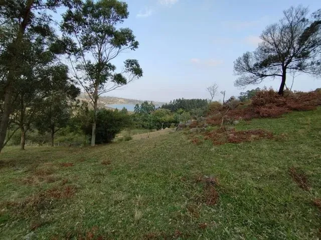 Imagem: Sítio para Venda em Imaruí, Ponta Grossa