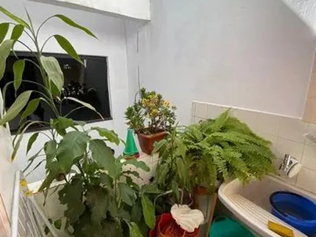 Imagem 7: Apartamento - Edifício Paulo Sarkis, Núcleo Bandeirante