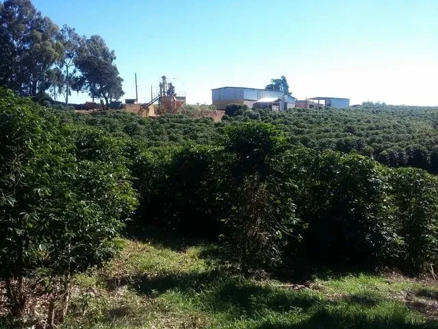 Imagem: Fazenda / Sítios / Chácaras com 3 Dormitórios