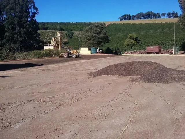 Imagem 6: Fazenda / Sítios / Chácaras com 3 Dormitórios À Venda em Lambari