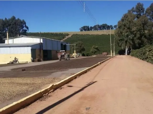Imagem 8: Fazenda / Sítios / Chácaras com 3 Dormitórios À Venda em Lambari