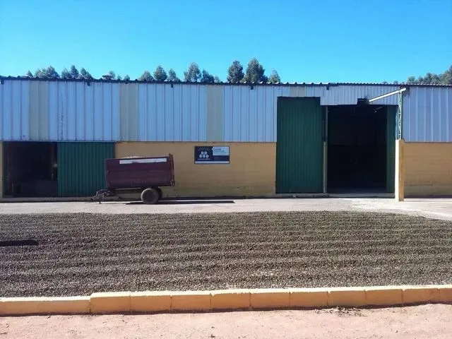 Imagem 11: Fazenda / Sítios / Chácaras com 3 Dormitórios À Venda em Lambari