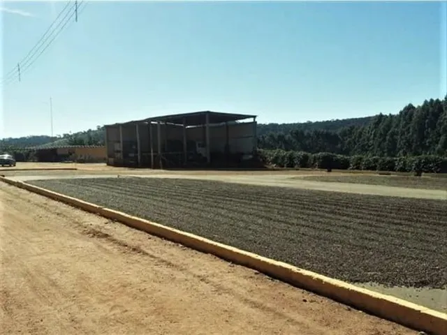 Imagem 12: Fazenda / Sítios / Chácaras com 3 Dormitórios À Venda em Lambari
