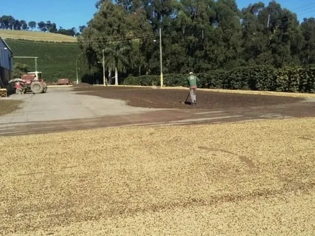 Imagem 2: Fazenda / Sítios / Chácaras com 3 Dormitórios À Venda em Lambari