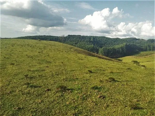 Imagem 7: Fazenda / Sítios / Chácaras com 3 Dormitórios À Venda em Lambari