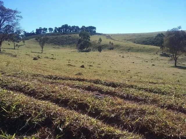 Imagem 14: Fazenda / Sítios / Chácaras com 3 Dormitórios À Venda em Lambari