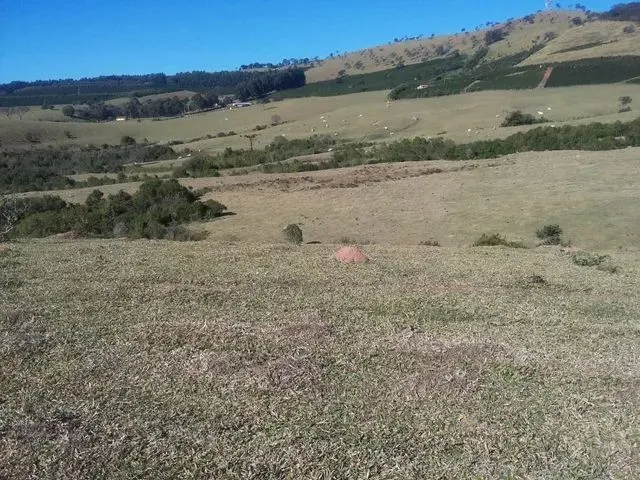 Imagem 15: Fazenda / Sítios / Chácaras com 3 Dormitórios À Venda em Lambari