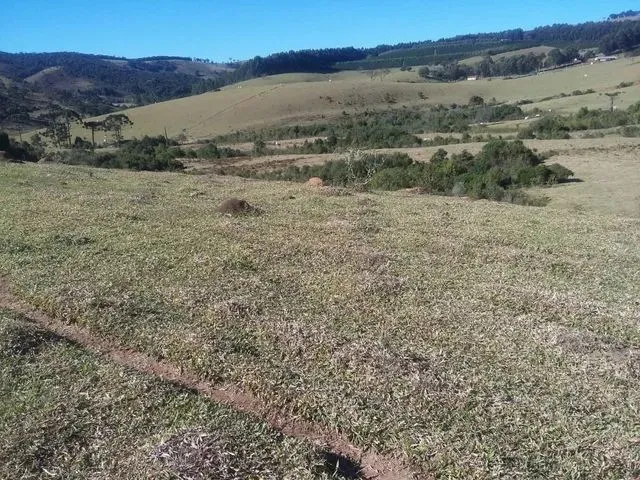 Imagem 16: Fazenda / Sítios / Chácaras com 3 Dormitórios À Venda em Lambari