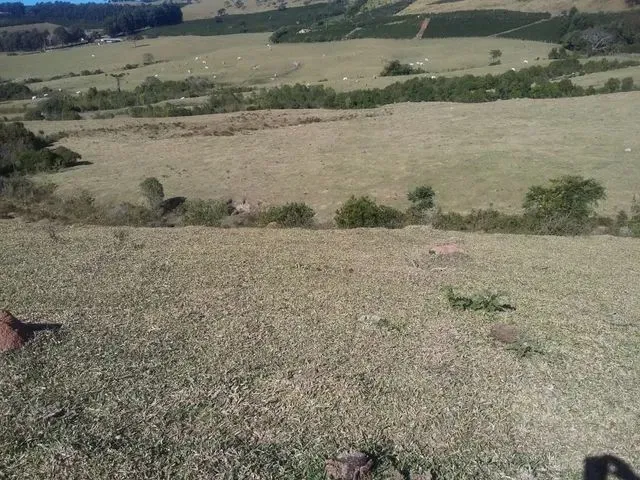 Imagem 10: Fazenda / Sítios / Chácaras com 3 Dormitórios À Venda em Lambari