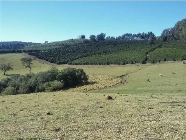 Imagem 5: Fazenda / Sítios / Chácaras com 3 Dormitórios À Venda em Lambari