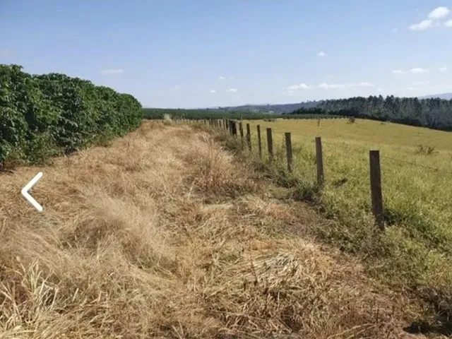 Imagem 13: Fazenda / Sítios / Chácaras com 3 Dormitórios À Venda em Lambari