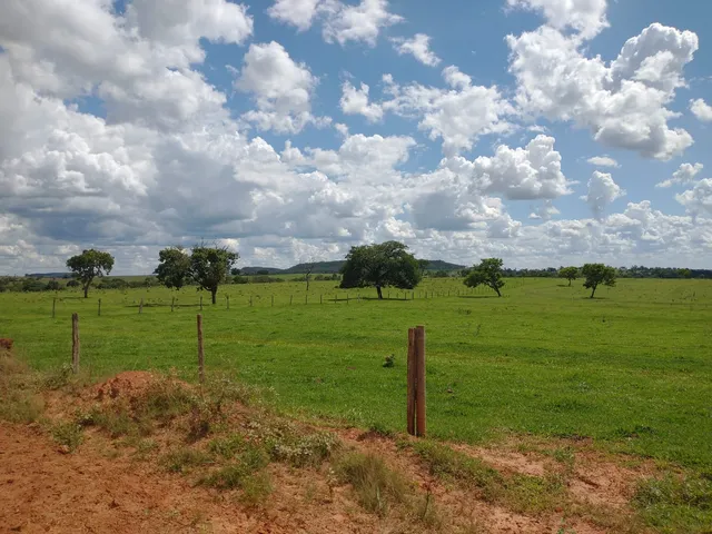 Imagem: Fazenda para Venda na Região de Inocencia-Ms
