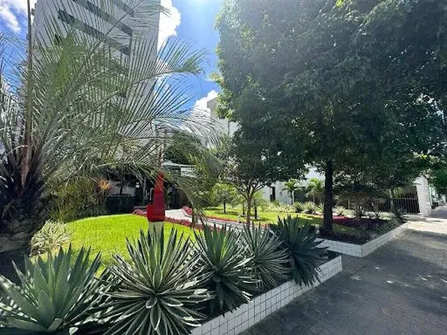 Imagem 14: Apartamento com 2 Quartos para Alugar, 42 M² - Torre - Recife/Pe