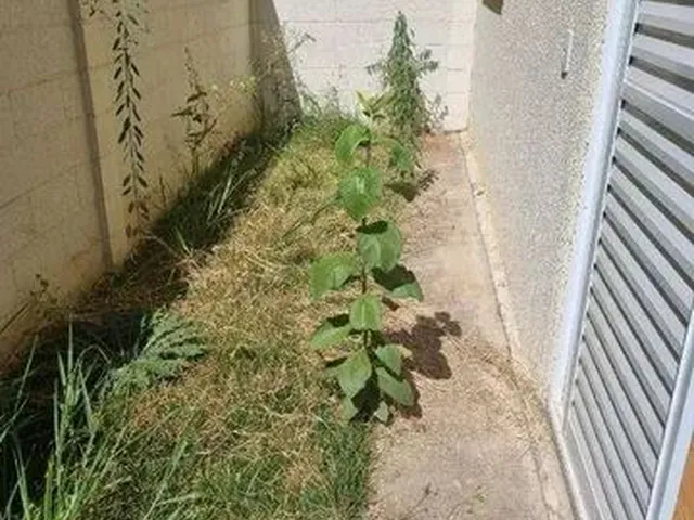 Imagem: 2 Dormitórior Locação, Residencial Sollare