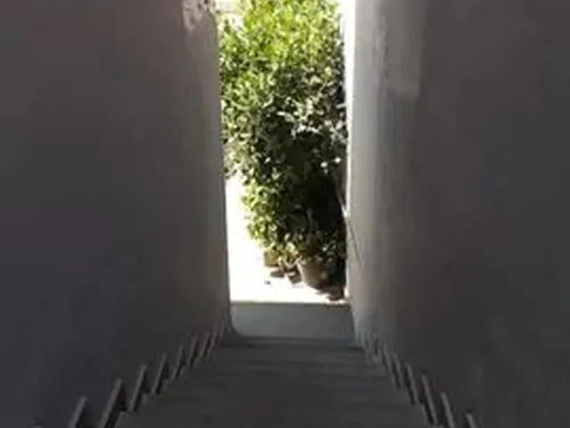 Imagem 3: Casa Geminada no Tijuca Coletiva