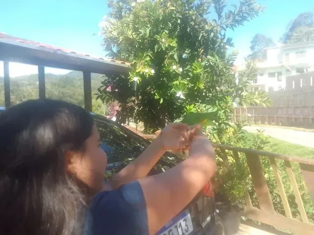 Imagem: Vendo Casa Sto Antonio do Pinhal Mantiqueira