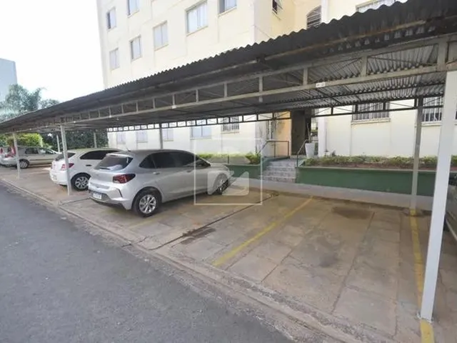 Imagem 3: Apartamento - Jardim Indianópolis - Campinas