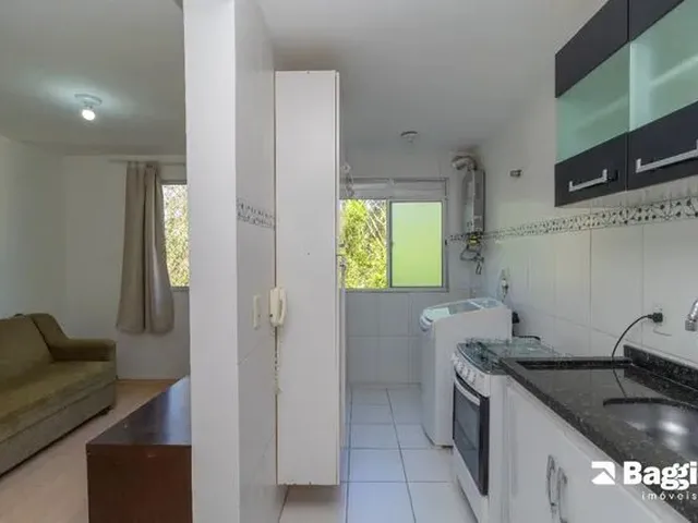 Imagem 15: Apartamento de 2 Quartos para Alugar no Bairro Campo Comprido