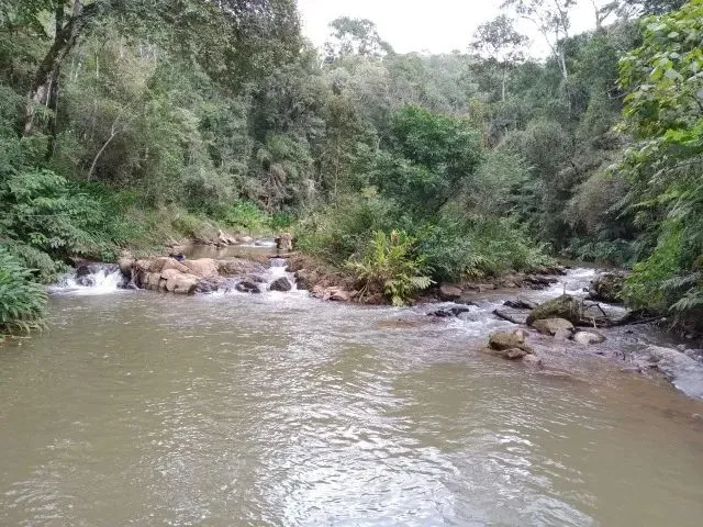 Imagem: Chácara com Lindo Rio e Árvores Frutíferas