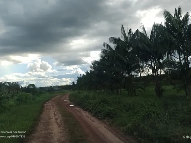 Imagem: Granja 40 Mil Bicos e Plantação de Pimenta
