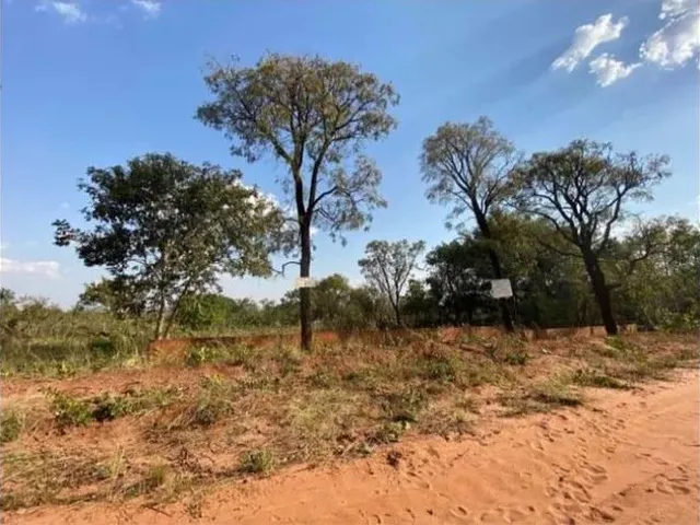 Imagem: Dois Terrenos em Anhanduí