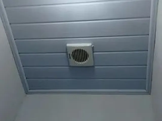 Imagem 10: Aluguel de Apartamento 1 Quarto
