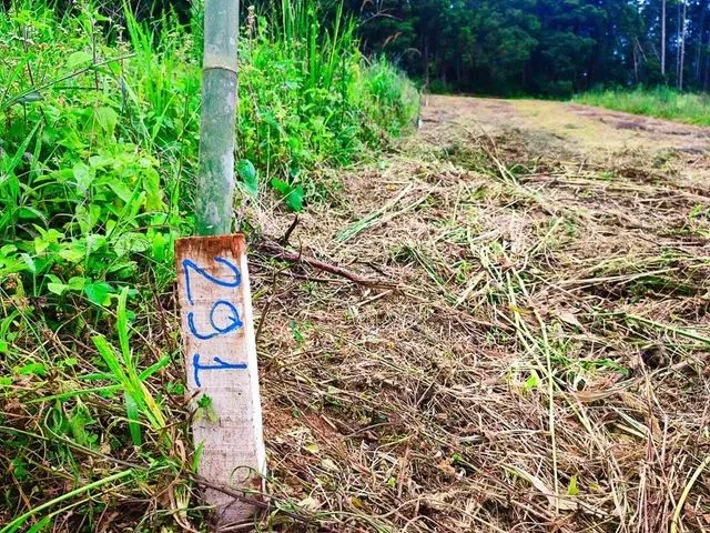 Imagem: Lote/Terreno para Venda Tem 500 Metros Quadrados